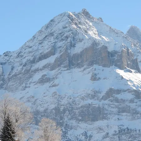 Schwendiboden Apartment Grindelwald