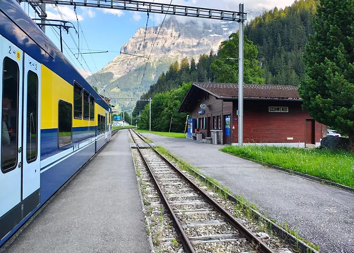 Schwendiboden Daire *