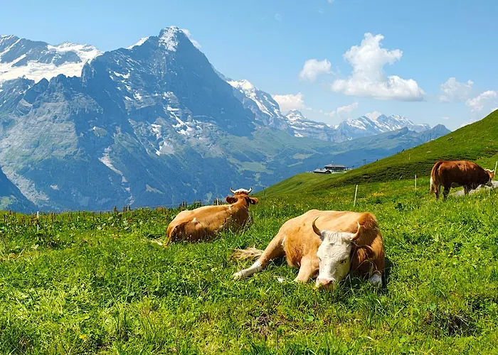 Schwendiboden Appartement Grindelwald