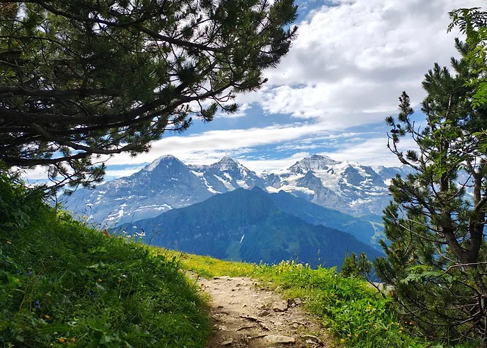 Schwendiboden Grindelwald