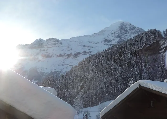 Schwendiboden