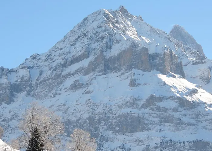 Schwendiboden Appartement Grindelwald